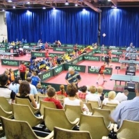 Pozvánka na stolní tenis-sobota 10. 11. 2012