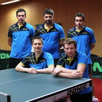 Úspěšná série domácích zápasů